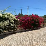 Alfarrobeiras * אלבופיירה