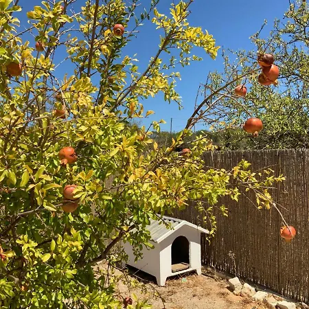 펜션 Alfarrobeiras 알부페이라