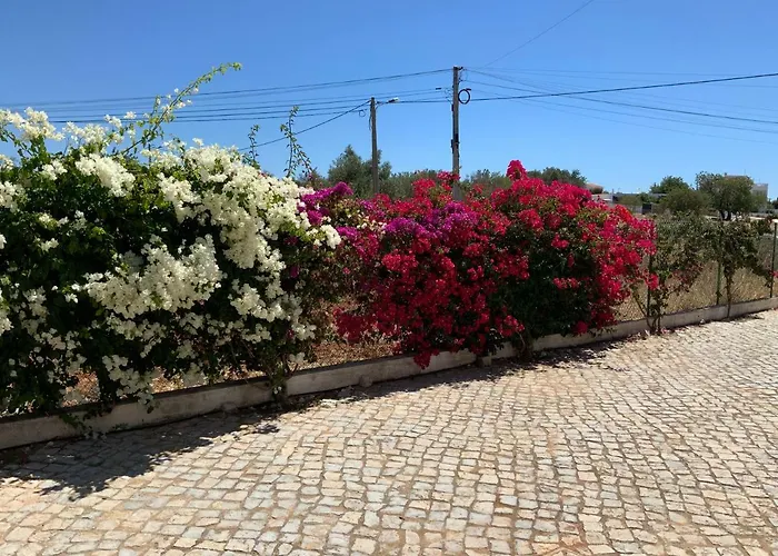 Alfarrobeiras * Albufeira