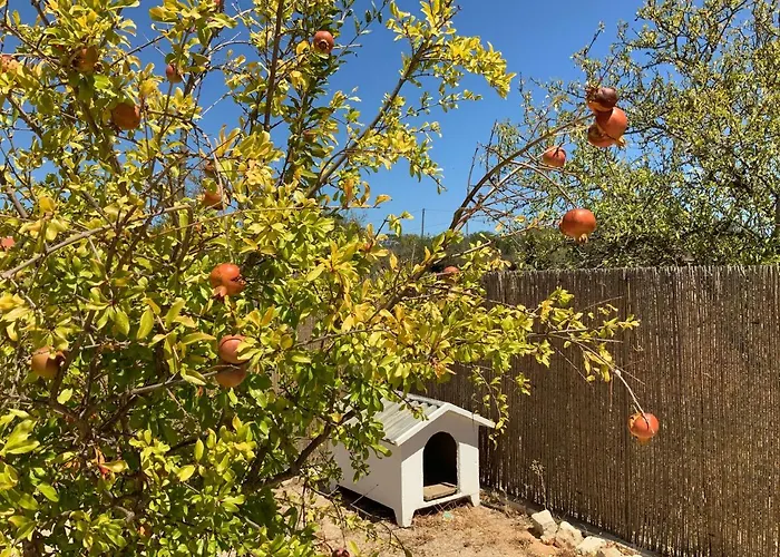 Ferienhaus Alfarrobeiras Albufeira